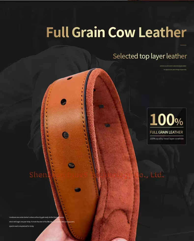 Leather Dog Collar with Tracke - Airtag Holder Case のレビューと価格